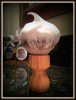 SOTD - 2016-10-14 - Lather Brush - Smaller.jpg