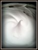 SOTD - 2016-10-14 - Lather Bowl - Smaller.jpg