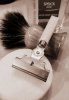 SOTD 11-17-16.JPG