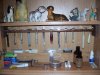 My Den 001.JPG