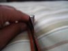 DSC04334.jpg