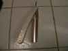 P1020117.jpg