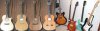 acousticsandelectrics1_upld.jpg