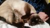 20161202_221334.jpg