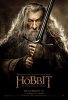 The_Hobbit-_The_Desolation_of_Smaug_25.jpg