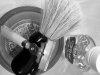 SOTD 12-9-16.JPG