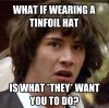what they want.jpg