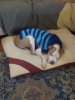 20121203_104243.jpg