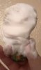 IMG_20170119_144804.jpg