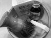 SOTD 1-26-17.JPG