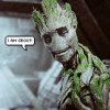 groot_cover1-9649.png.jpg