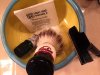 SOTD 1-28-17.JPG
