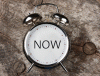 enjoy-the-life-now.gif