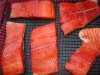 Steelhead1.jpg
