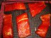 Steelhead3.jpg