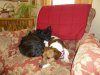 Chett&Lily217.JPG