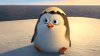 adorable penguin.jpg
