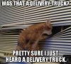 delivery truck.jpg