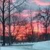 outdoorphoto.jpg