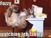 fuzzytables.jpg