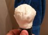 VDH Deluxe Lather.jpg