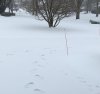 IMG_0245.JPG