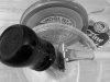 SOTD 3-17-17.JPG