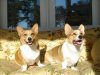 DSC01693.jpg