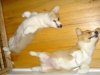 2007Jan-Nov 062.jpg