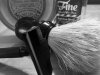 SOTD 3-24-17.JPG
