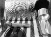 SOTD 03242017.gif