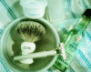SOTD 03302017.gif