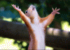 yo70.GIF