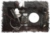 IMG_5489.jpeg