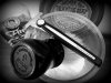 SOTD 4-14-17.JPG