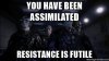 assimilated.jpg
