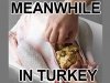 Meanwhile in Turkey.jpg
