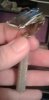 20170424_151223.jpg