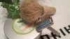 SOTD_042917.jpg