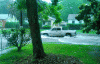 Spring b.gif