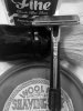 SOTD 5-19-17.JPG
