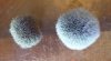20170526_133400.jpg