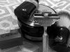 SOTD 5-27-17.JPG