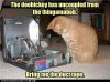 can-we-fix-it-yes-we-can.jpg
