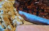 PorkPorterhouse1.jpg