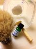 SOTD 6-11-17.JPG