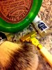 SOTD 4-8-17.JPG