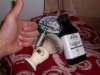 sotd.JPG
