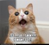 shiny.jpg