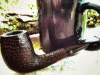POTD 06212017.gif